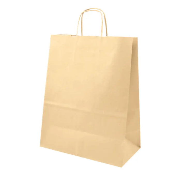 BOLSAS DE PAPEL CON MANIJA 1/6  30 + 18 x 41